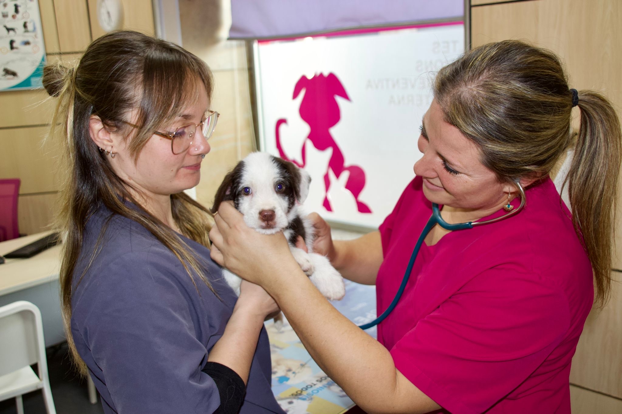 e199808540348d40cd4e702bbd80156f2f0408e2